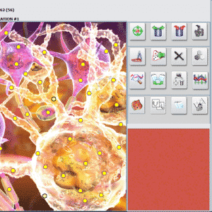Bioresonance, Quantum Health, : * FOR THOSE WHO ALREADY DID BUY ISHA METATRON- BUT DID NOT BUY A SOFTWARE SUPPORT PACK : NEW * : Special SUPER Offer: ISHA METATRON NLS GR HUNTER PRO - SOFTWARE + DONGLE > Specially for Apprentice Masters Classes : Make your HUNTER POWERFULL ! * including shipment worldwide ! - Image 13